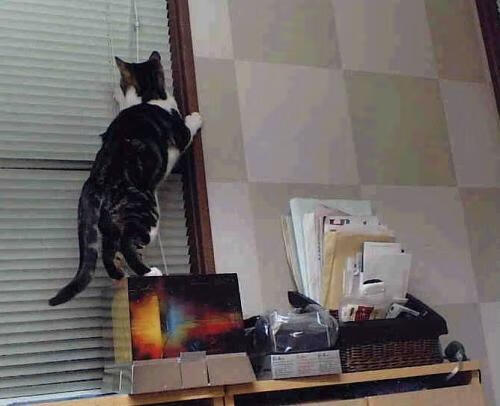 篮球华尔兹，乔治生涯夜谱写的神奇之战，辽宁上演防守交响乐封杀北京