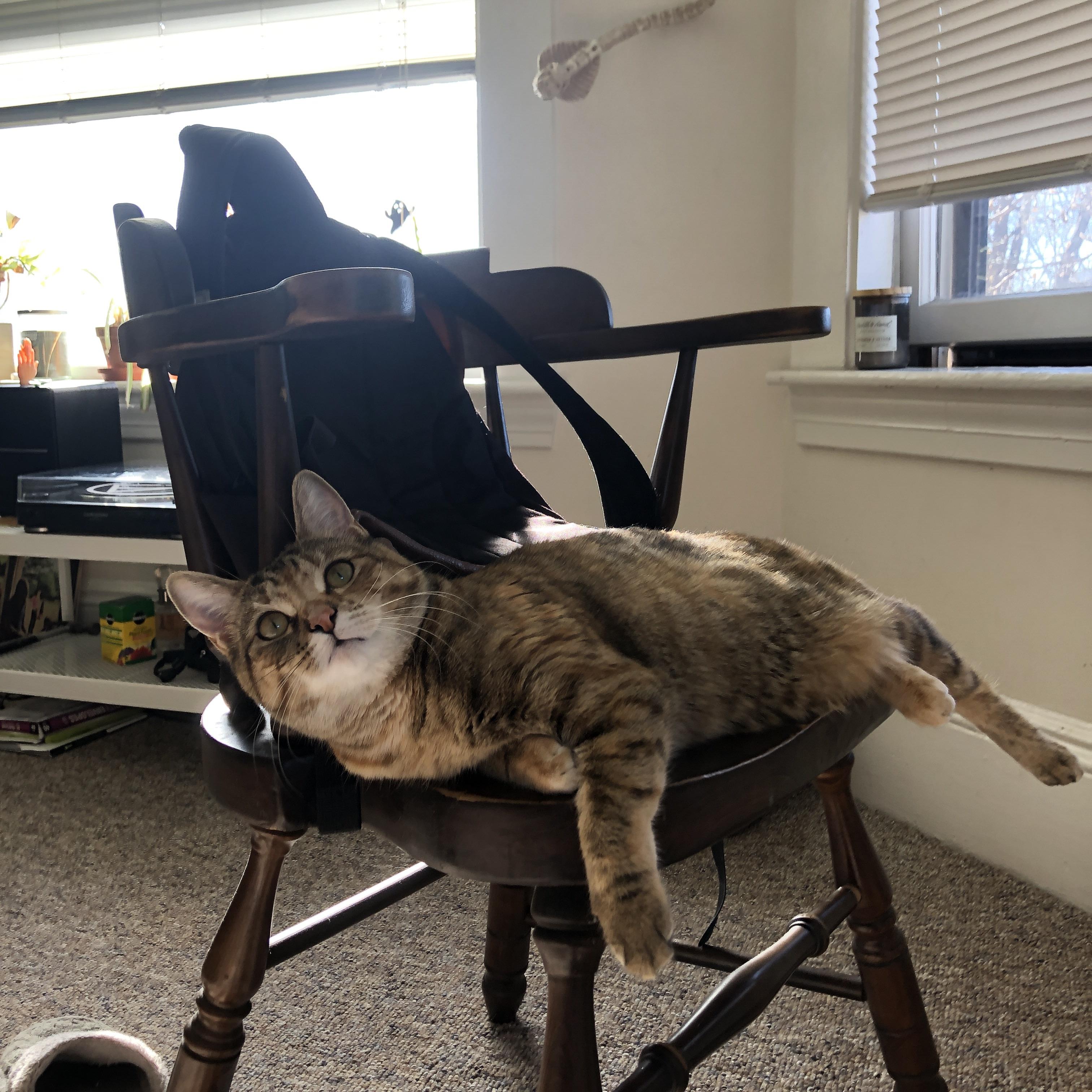 尼斯锋线撕裂韩国钢铁防线，阿什拉夫·哈基米关键先生闪耀友谊赛