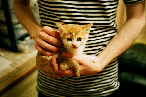 开云体育官网-从科纳克里到威斯特法伦，几内亚尖刀刺穿红黑，德甲争冠天平因他倾斜