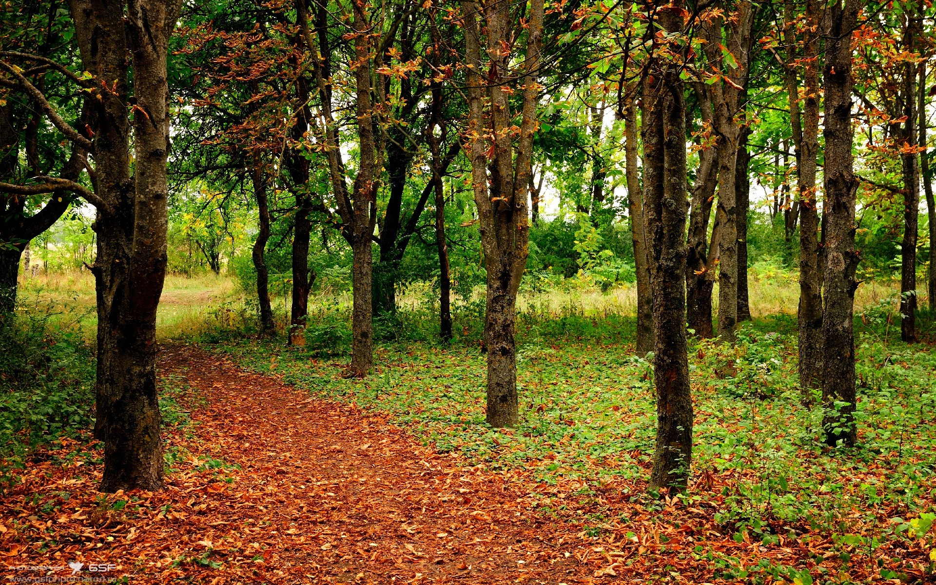 开云体育登录-唯一的取胜之匙，武切维奇火热状态点燃奇才，终场绝杀马刺！