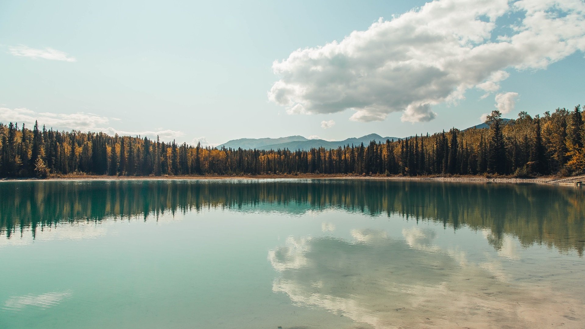 开云体育平台APP-绿茵场的终极对决，木地板上的大场面先生，当欧冠决赛夜遇见西亚卡姆