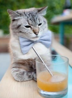 开云体育app-绿茵核弹撕裂美国梦，当关键先生劳塔罗的脚跟击穿足球第三世界的宿命