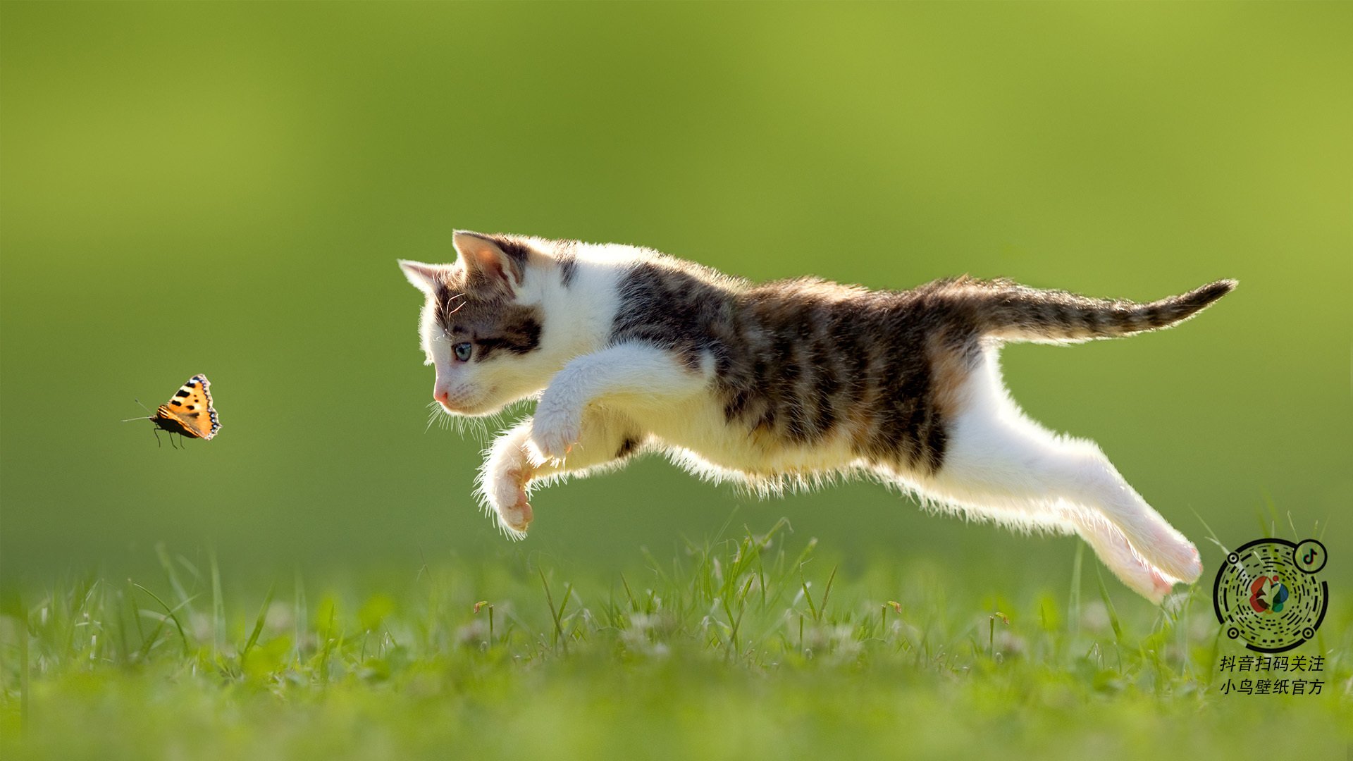 开云体育平台APP-新王当立，当格列兹曼定义价值，毕尔巴鄂重写北欧神话