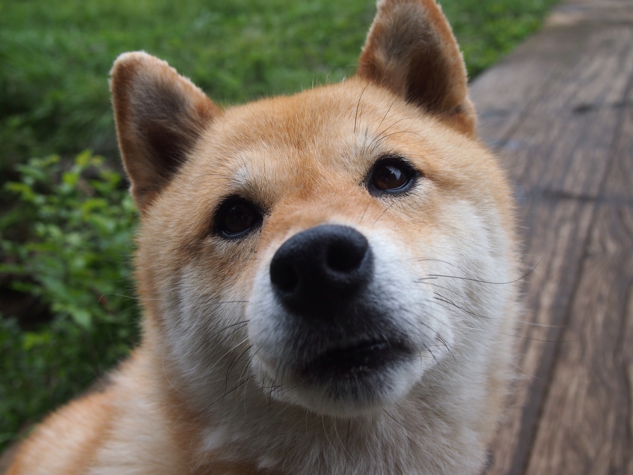 阿克，铸城者！曼城后防铁闸锁定英超王座