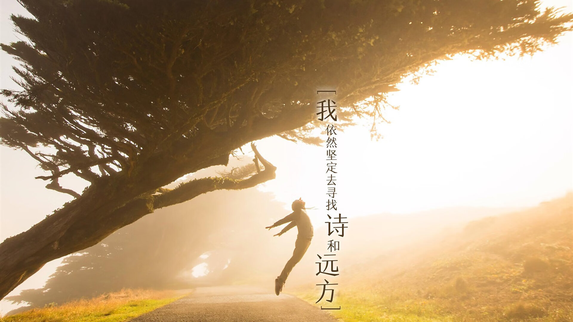 双线制霸,从绿茵领袖到国家博弈的胜利启示