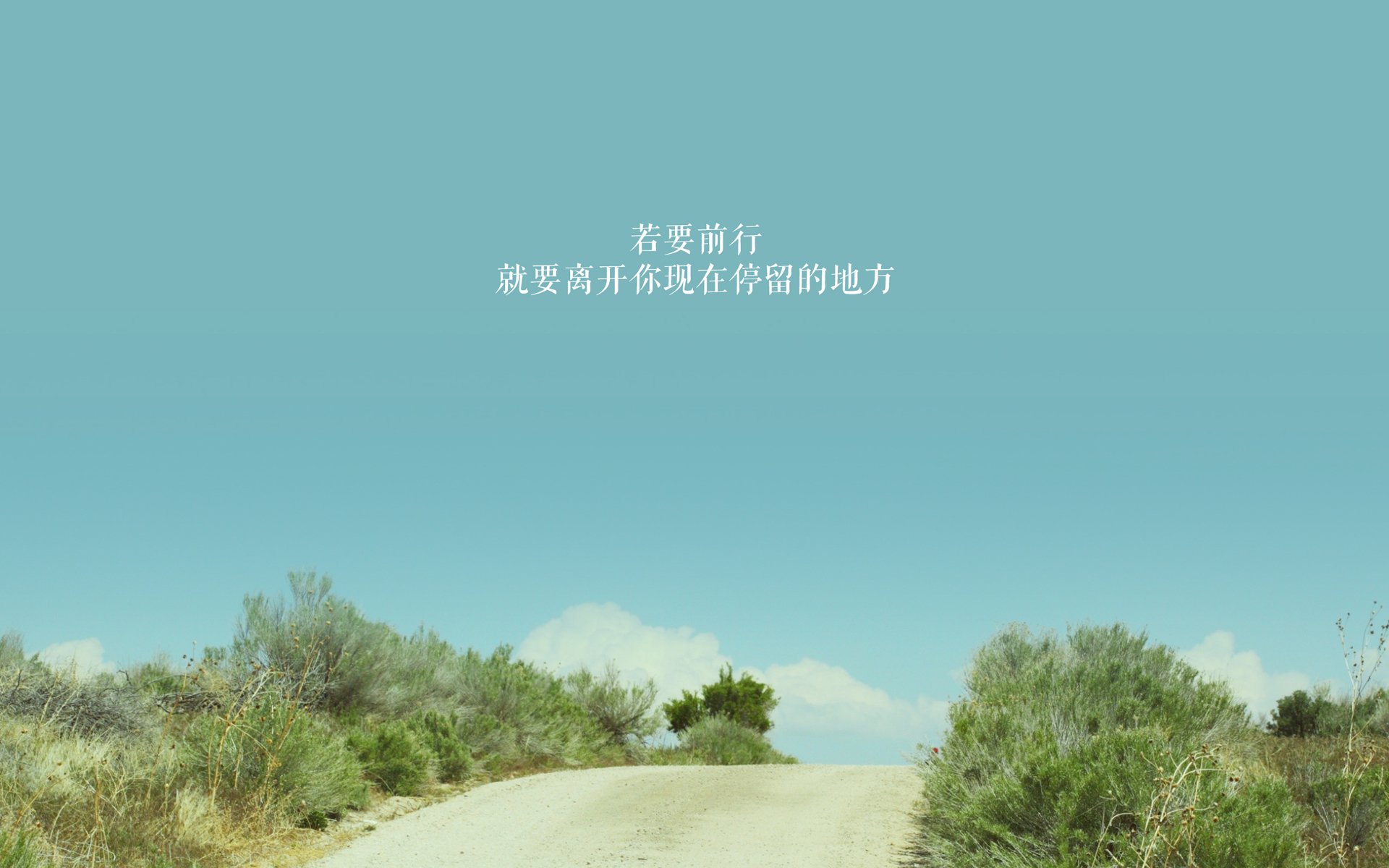 开云体育APP下载-当平民撕裂王旗，霍勒迪的匕首与团队的胜利