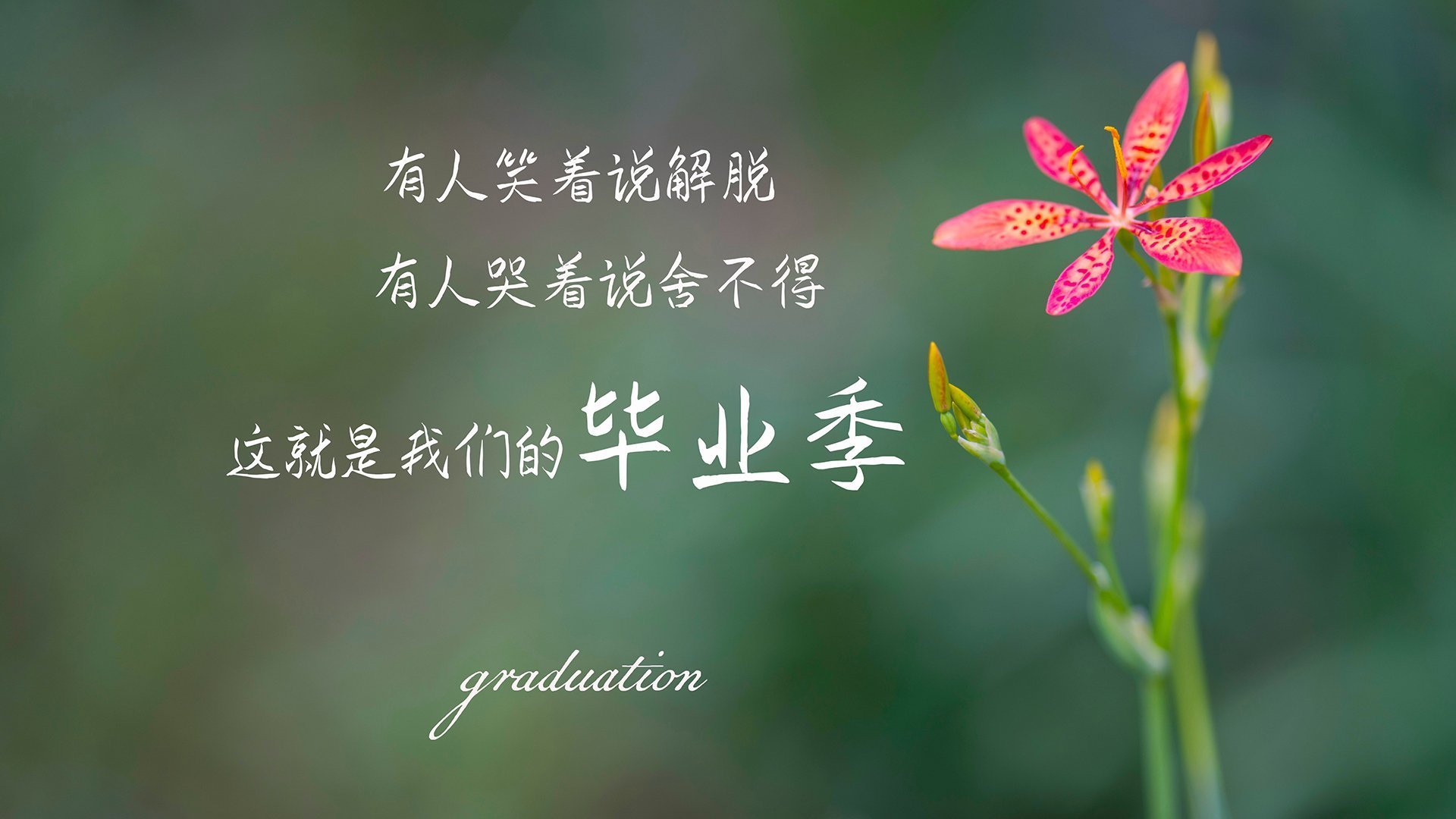 开云sport-维度折叠日，当塔图姆的数据溢出赛场，深圳队踏碎了国王的疆土