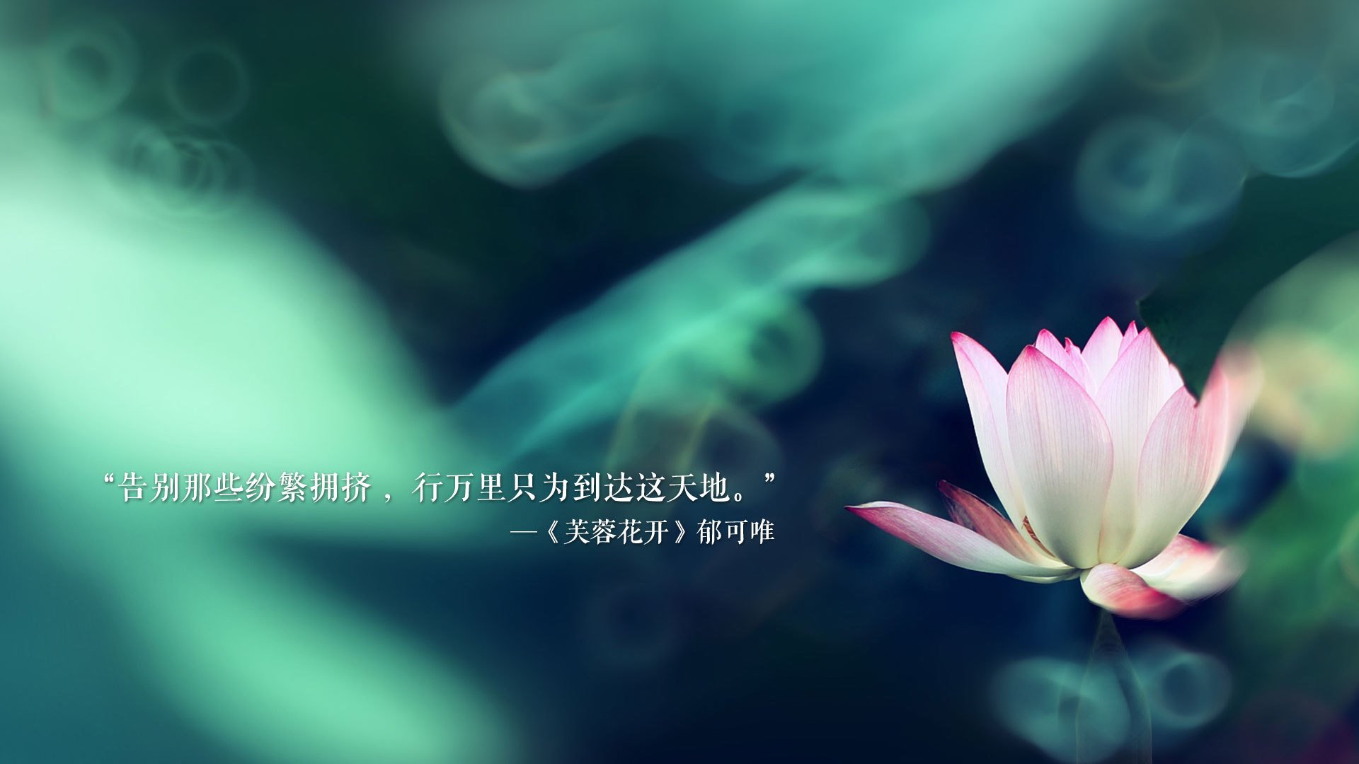 开云体育官网-唯一掌控者，努涅斯比赛走势一手掌控，德国斩落哥伦比亚