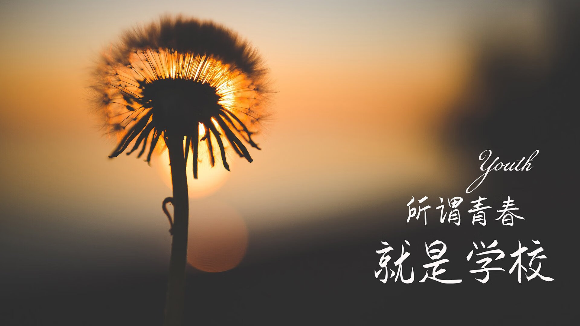 以下是为您构思的标题与文章