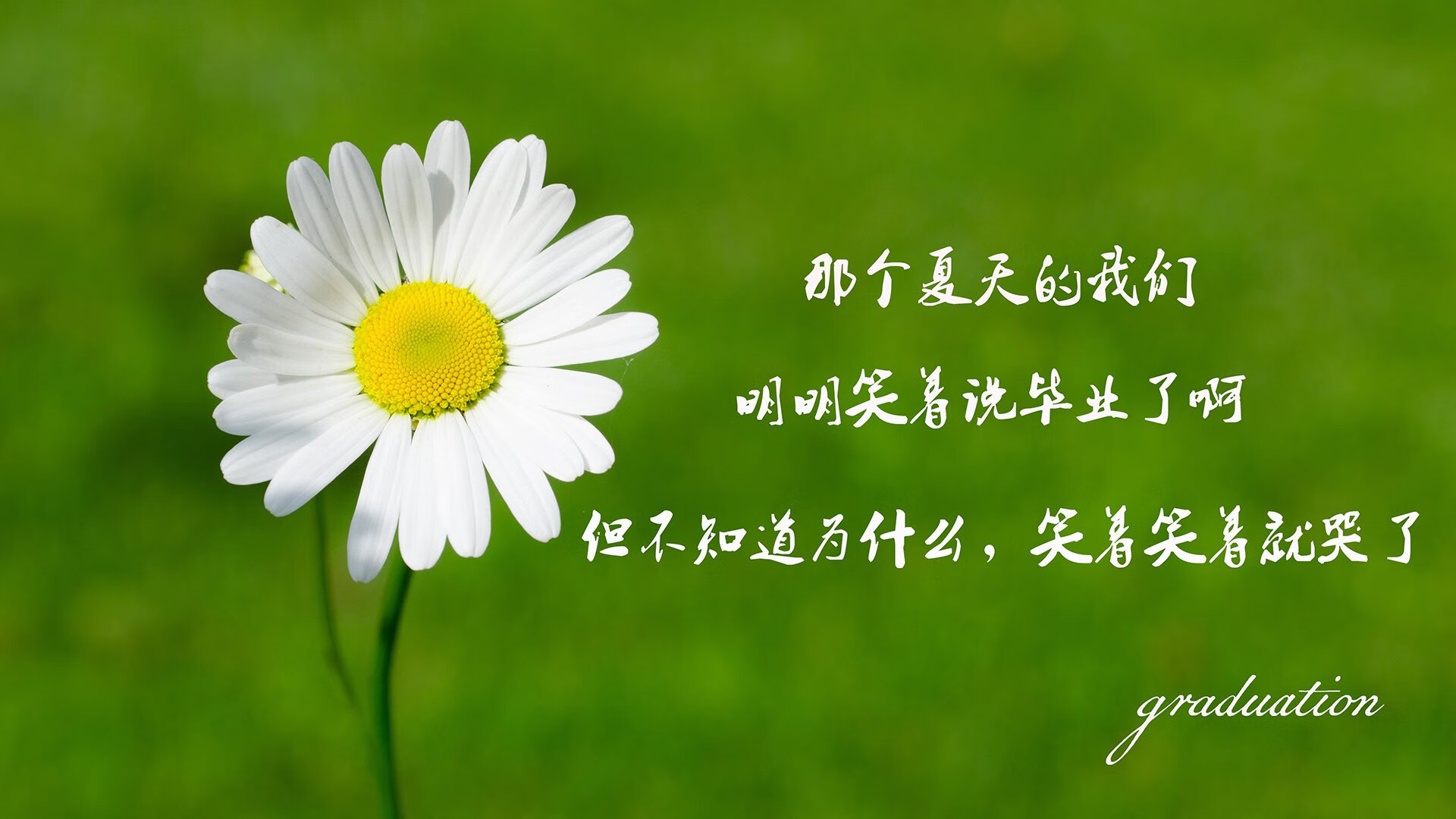 当桑托斯的少年刺穿柏林墙,2026世界杯C组,记一次发生在黄昏的神谕与一击