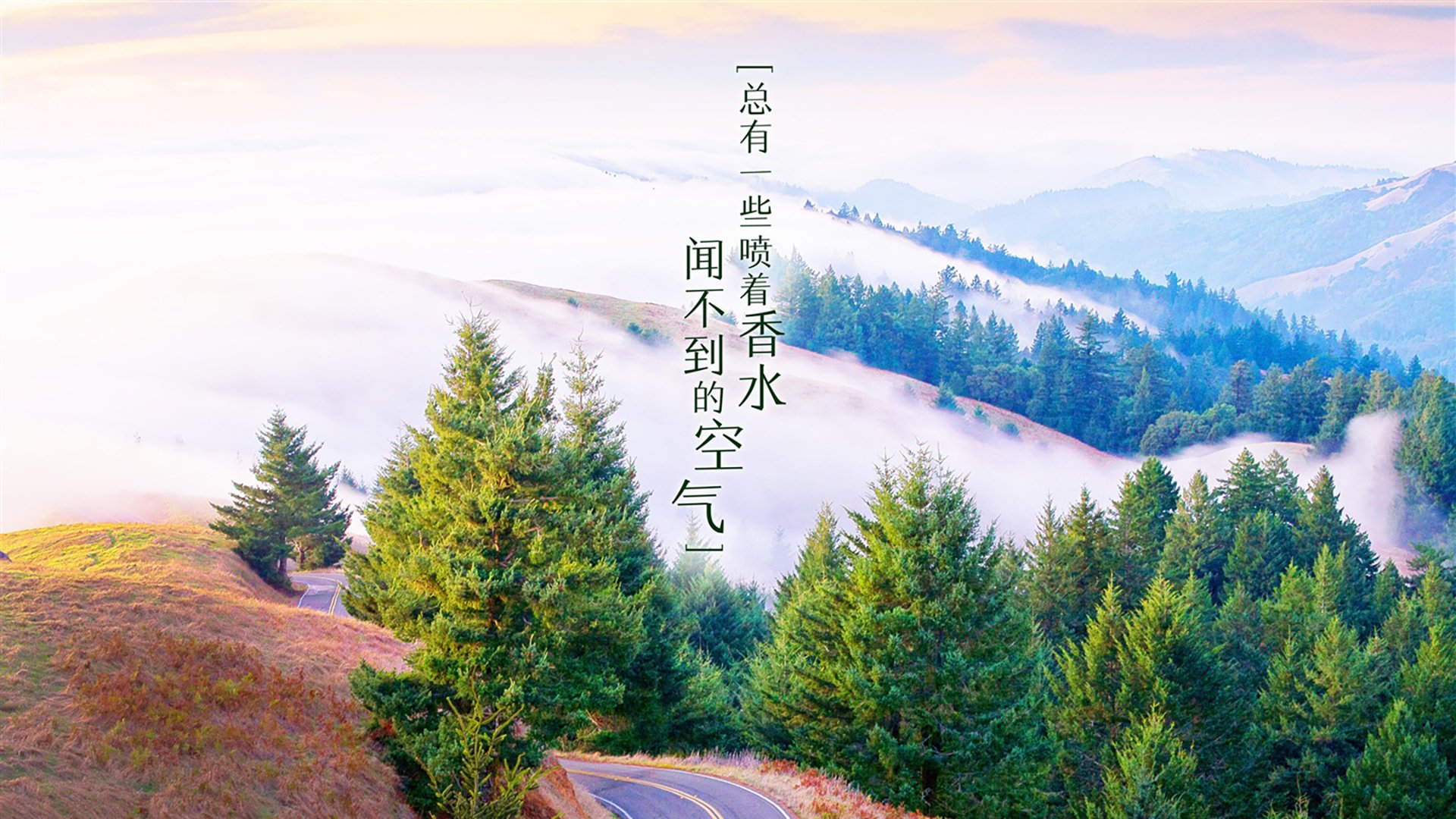 [狂想2026]修车工干翻斗牛士，F组暗夜神迹，伊拉克的反现代足球起义