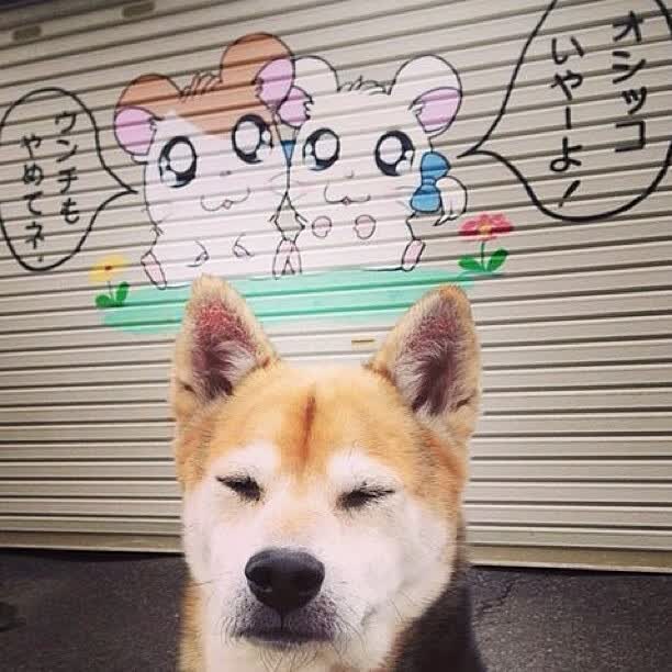 欧陆铁幕与北美枫火,关键先生贝林厄姆的伯尔尼奇迹