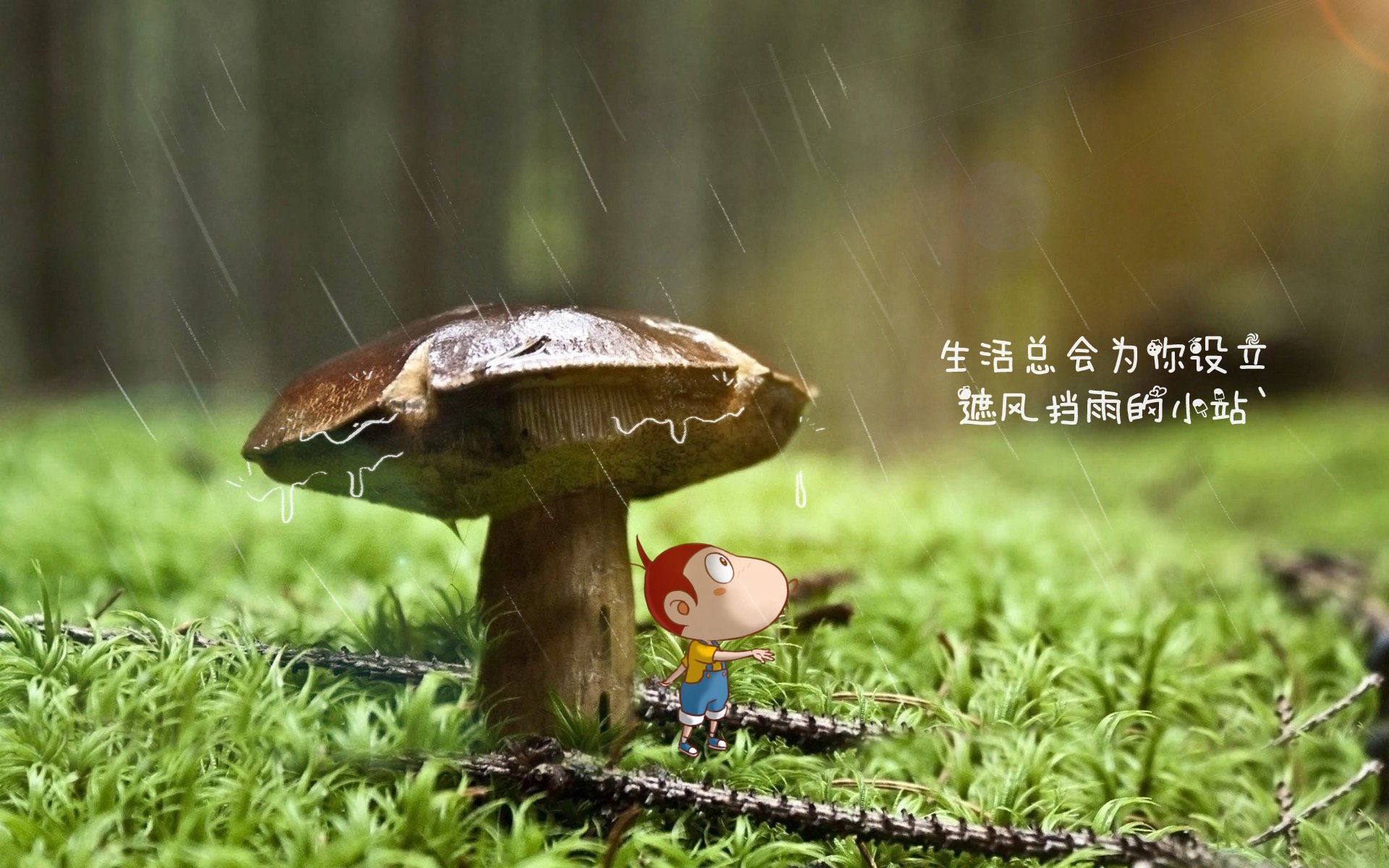 开云体育在线-当亚洲旋风席卷日耳曼战车，2026世界杯F组，越南用极致防反与卢卡库的致命一击书写唯一神迹